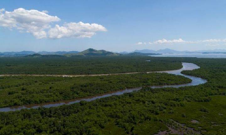IMBio anuncia inscrições para contratar agentes ambientais