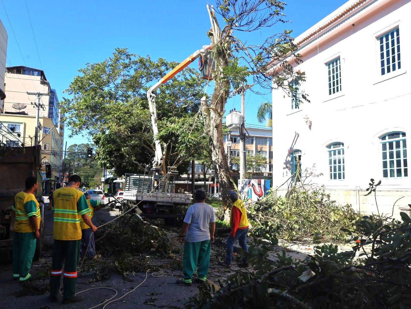 PMT poda arbustos e remove árvores com risco de queda na Praça Governador Portella