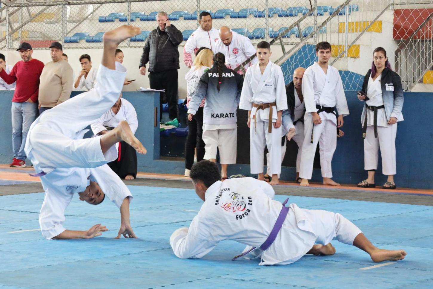 Atletas de cinco estados no 29º Campeonato Sul-Sudeste de Karate-DÔ