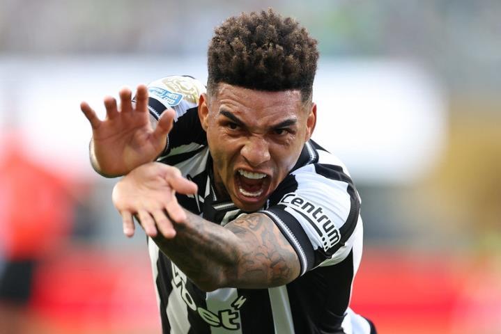 Botafogo joga pelo primeiro lugar do grupo