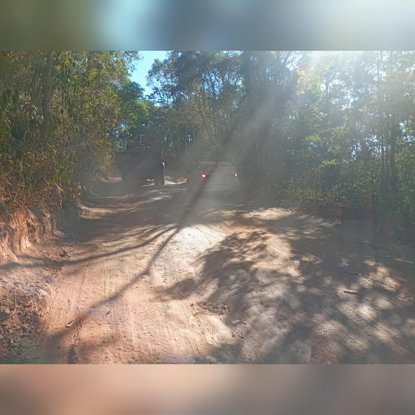 Situação da Rua da Árvore e da Região da Granja Florestal