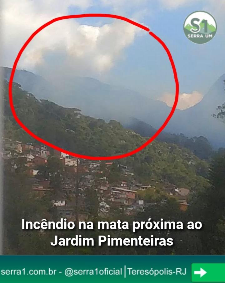 Incêndio na Mata do Jardim Pimenteiras, Teresópolis, acende alerta para riscos no inverno