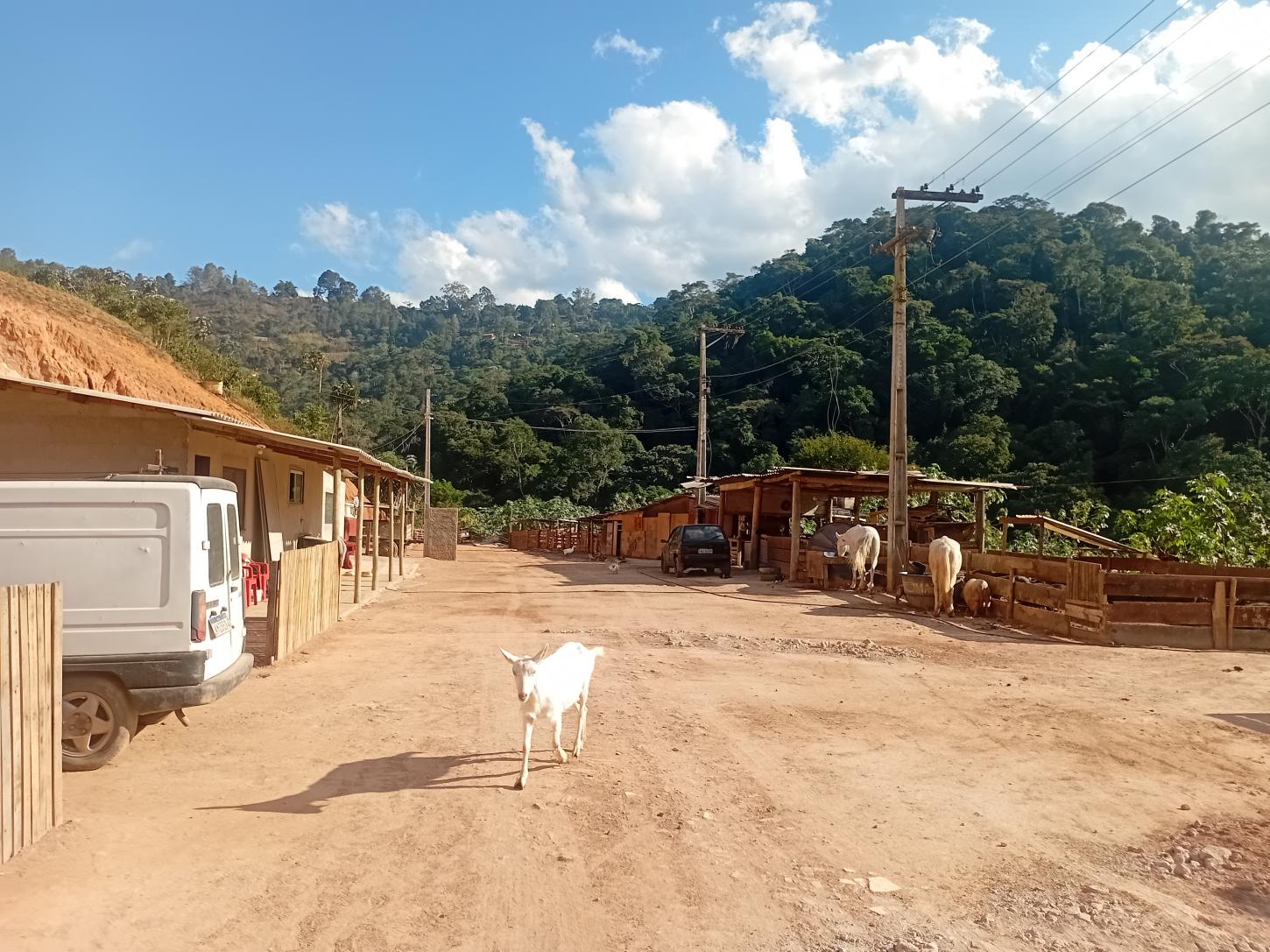 Teresópolis Esquecida: Bairros periféricos sofrem com abandono e falta de infraestrutura