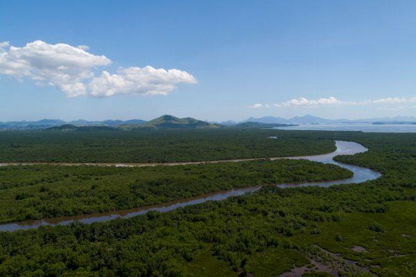 IMBio anuncia inscrições para contratar agentes ambientais